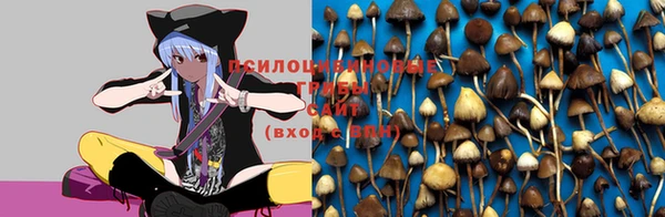 трава Абаза