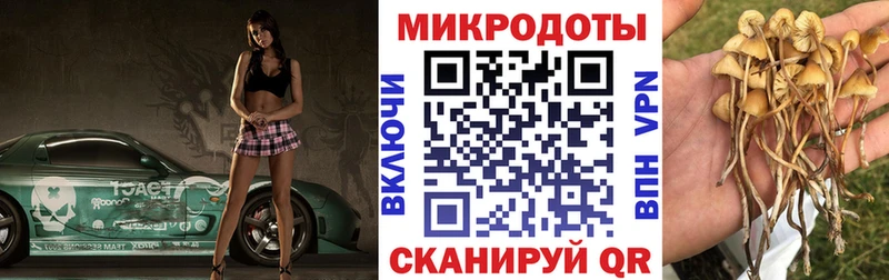 Псилоцибиновые грибы Cubensis  Тарко-Сале 